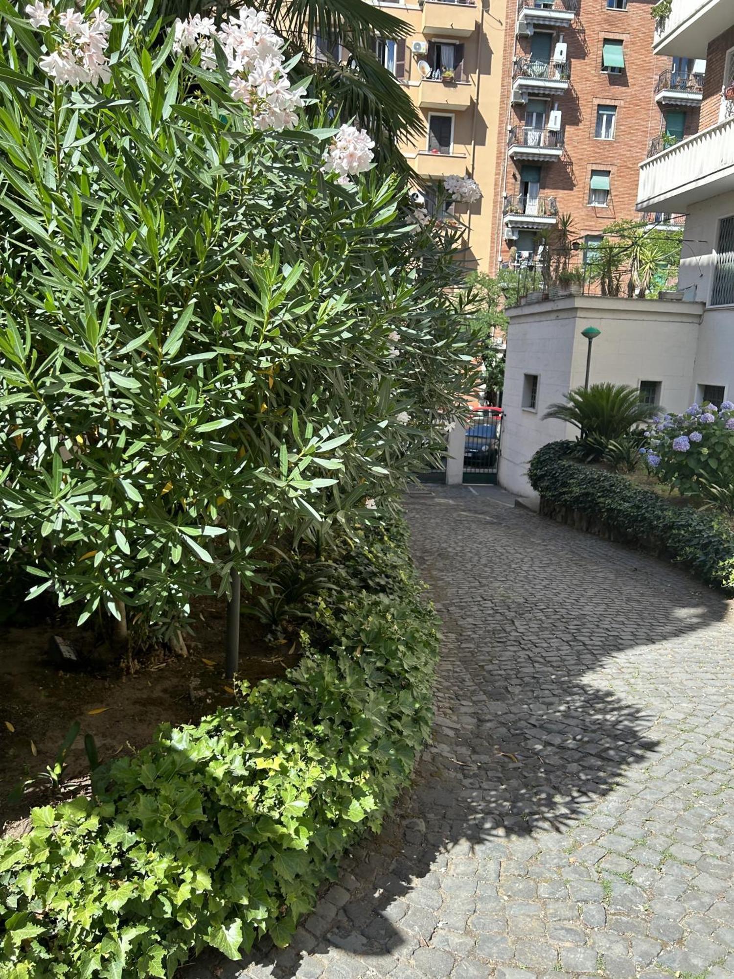 Apartment Sommy *